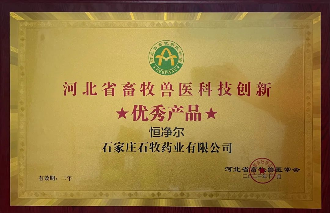 �ڲ�����Ϸ������(�й�)רҵ����,����Ϊ��