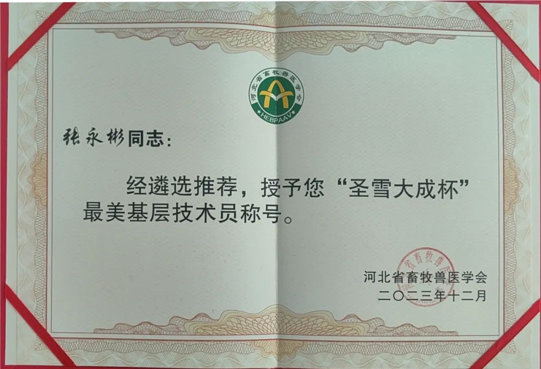 �ڲ�����Ϸ������(�й�)רҵ����,����Ϊ��