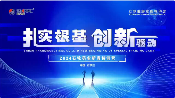 �ڲ�����Ϸ������(�й�)רҵ����,����Ϊ��