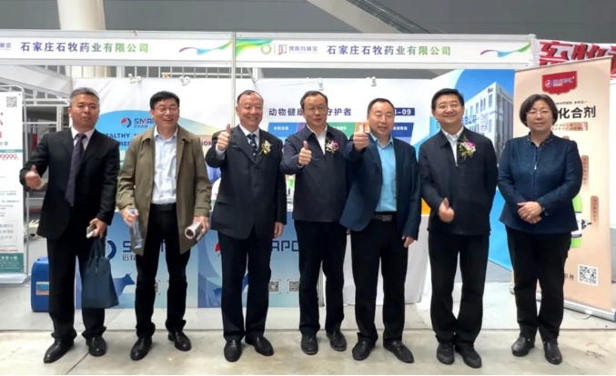 �ڲ�����Ϸ������(�й�)רҵ����,����Ϊ��