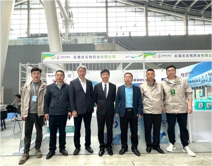 �ڲ�����Ϸ������(�й�)רҵ����,����Ϊ��