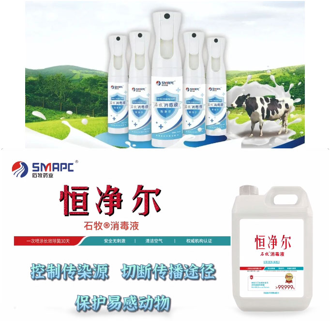 �ڲ�����Ϸ������(�й�)רҵ����,����Ϊ��