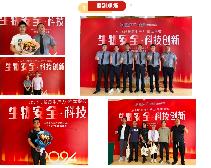 �ڲ�����Ϸ������(�й�)רҵ����,����Ϊ��