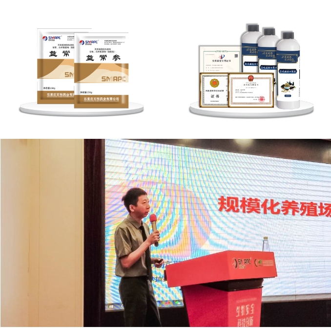 �ڲ�����Ϸ������(�й�)רҵ����,����Ϊ��