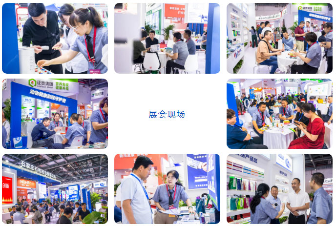 �ڲ�����Ϸ������(�й�)רҵ����,����Ϊ��