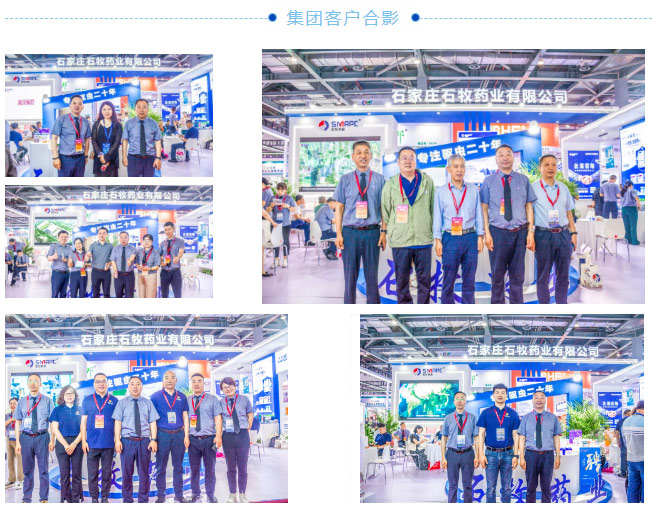 �ڲ�����Ϸ������(�й�)רҵ����,����Ϊ��