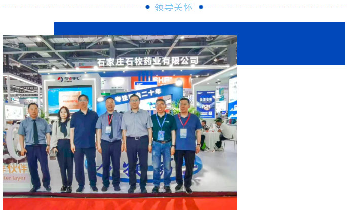 �ڲ�����Ϸ������(�й�)רҵ����,����Ϊ��