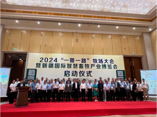 �ڲ�����Ϸ������(�й�)רҵ����,����Ϊ��