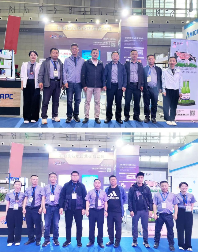 �ڲ�����Ϸ������(�й�)רҵ����,����Ϊ��