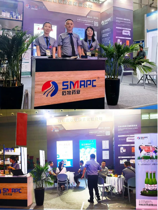 �ڲ�����Ϸ������(�й�)רҵ����,����Ϊ��