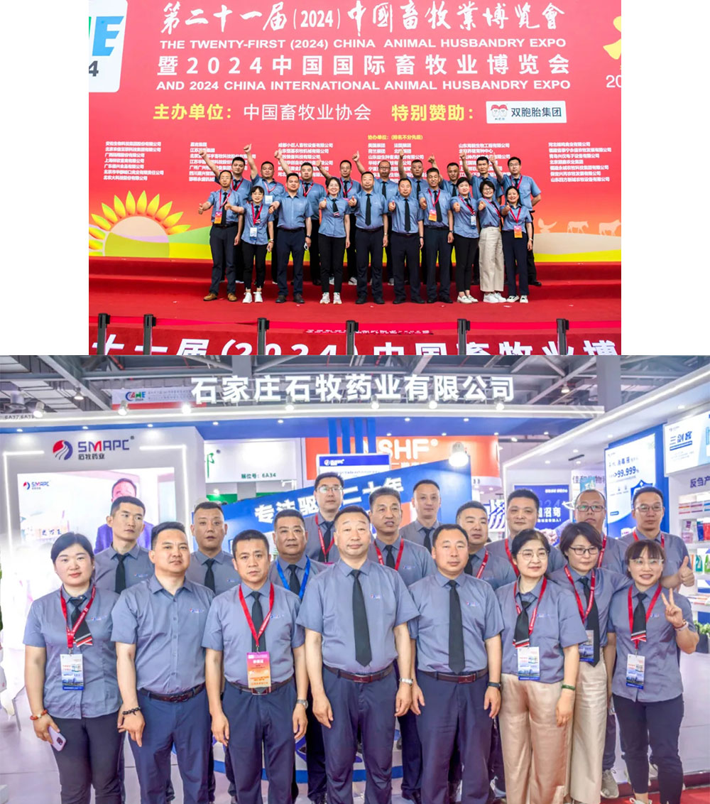 �ڲ�����Ϸ������(�й�)רҵ����,����Ϊ��