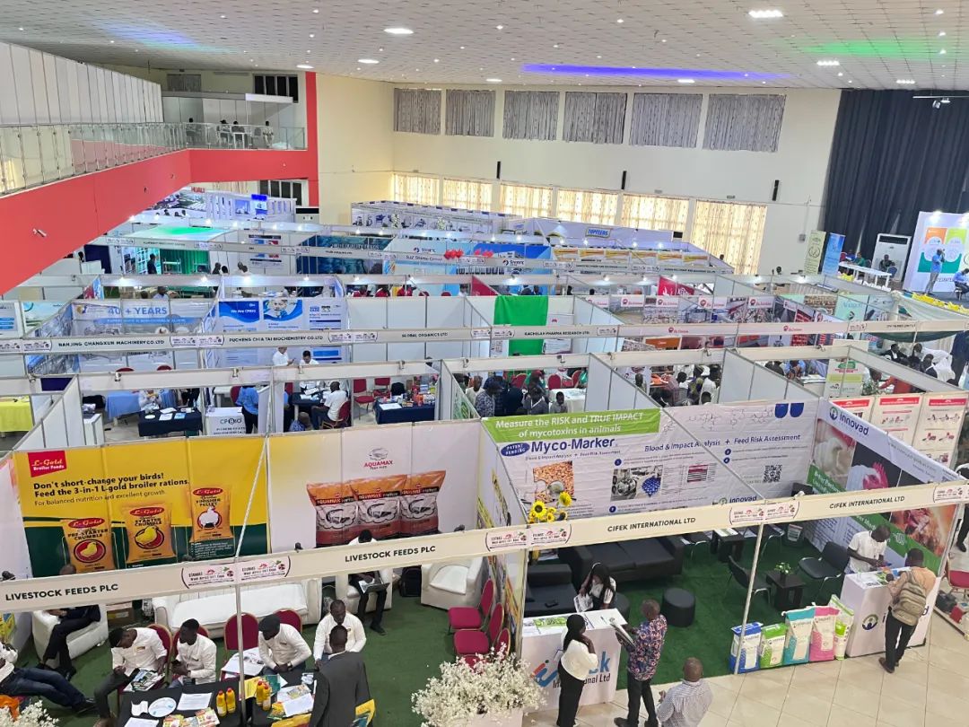 腾博会游戏官网·(中国)专业服务,诚信为本