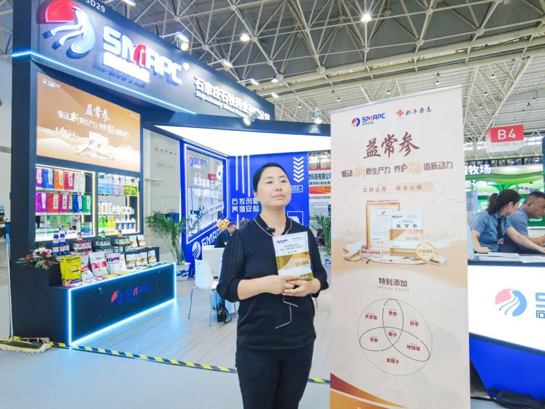 �ڲ�����Ϸ������(�й�)רҵ����,����Ϊ��