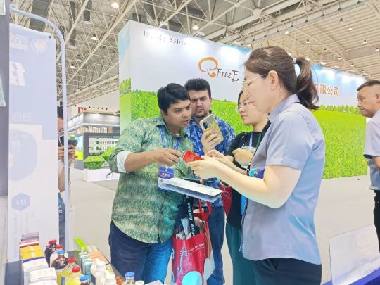 �ڲ�����Ϸ������(�й�)רҵ����,����Ϊ��