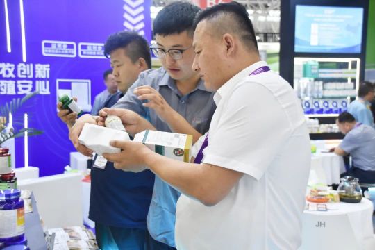 �ڲ�����Ϸ������(�й�)רҵ����,����Ϊ��