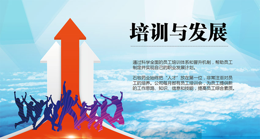 �ڲ�����Ϸ������(�й�)רҵ����,����Ϊ��