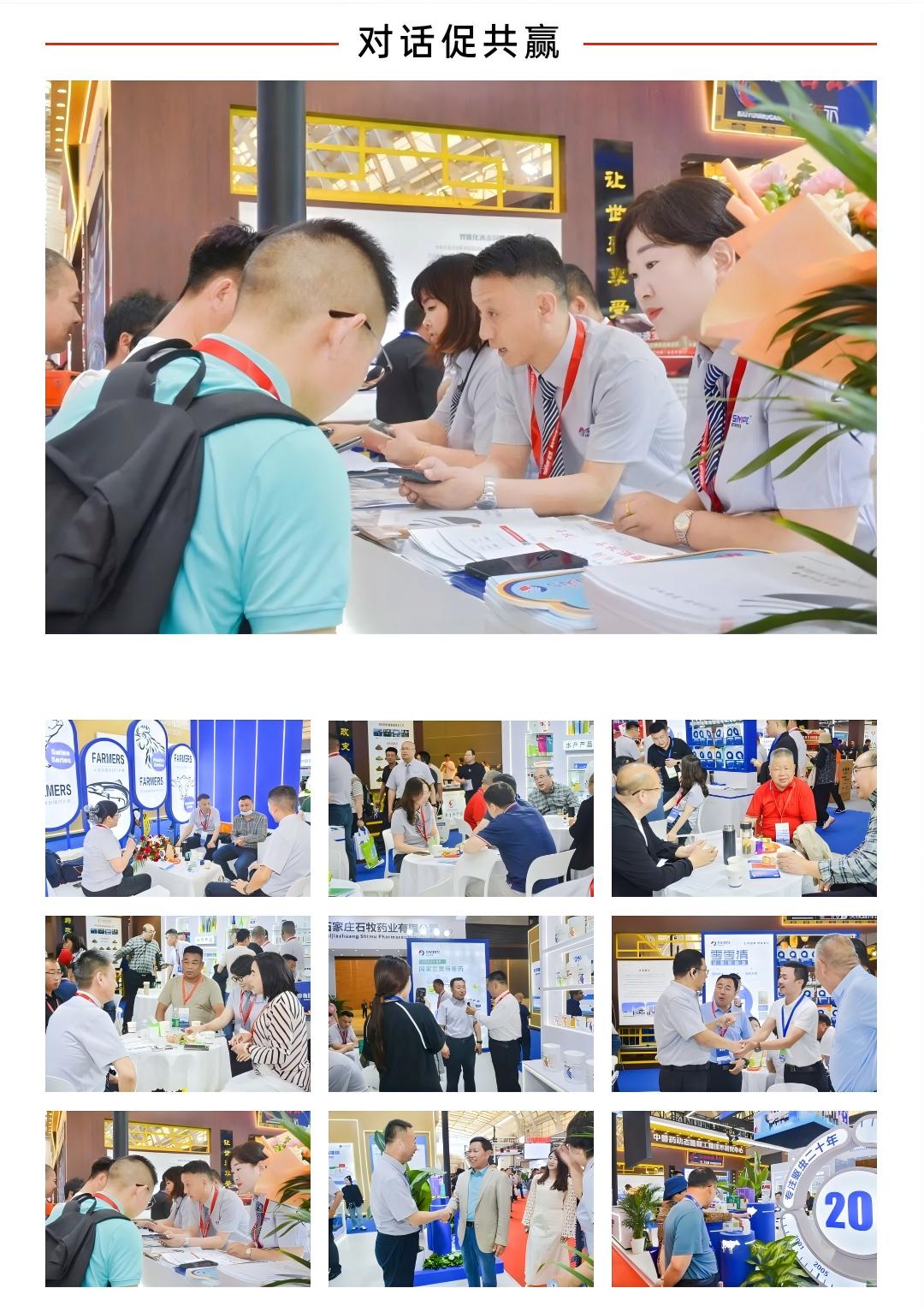 �ڲ�����Ϸ������(�й�)רҵ����,����Ϊ��