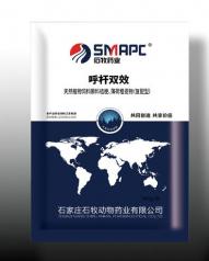 ����˫Ч��